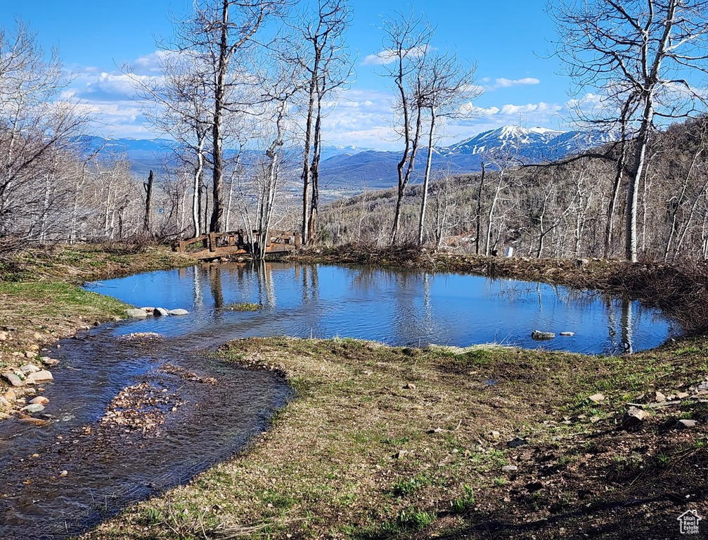10452 N BASIN CANYON RD Park City, UT 84098