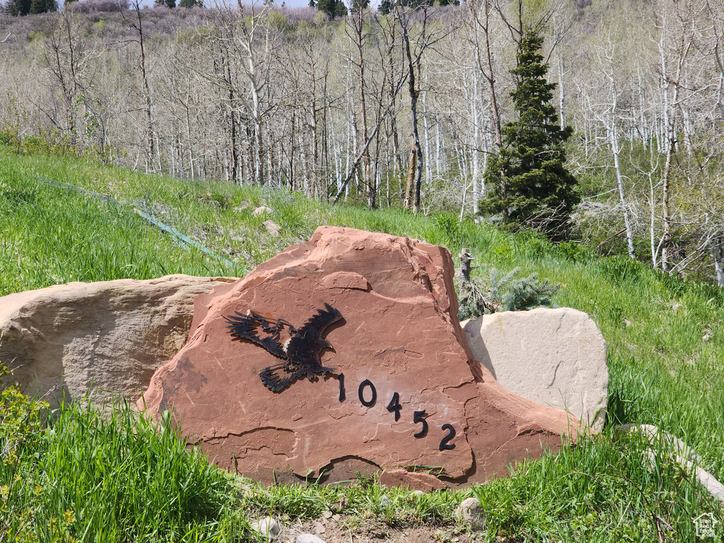 10452 N BASIN CANYON RD Park City, UT 84098