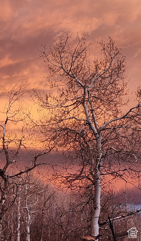10452 N BASIN CANYON RD Park City, UT 84098