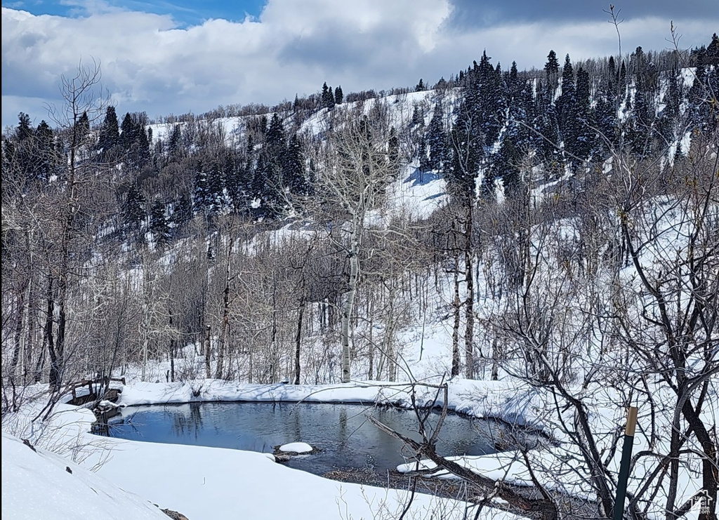 10452 N BASIN CANYON RD Park City, UT 84098