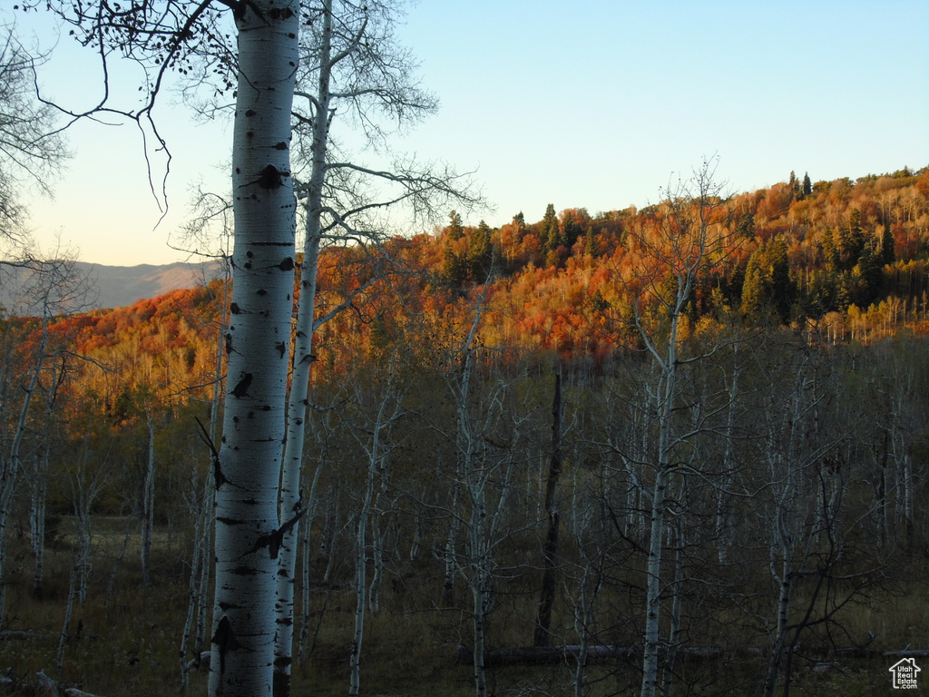 10452 N BASIN CANYON RD Park City, UT 84098