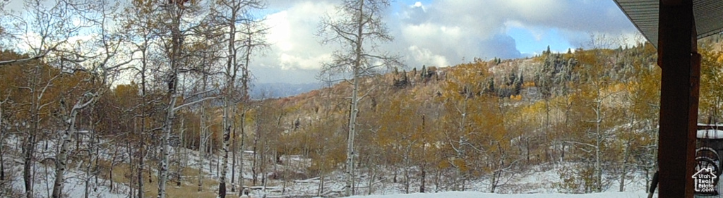 10452 N BASIN CANYON RD Park City, UT 84098