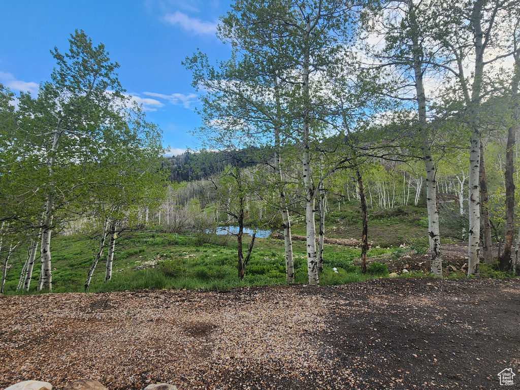 10452 N BASIN CANYON RD Park City, UT 84098
