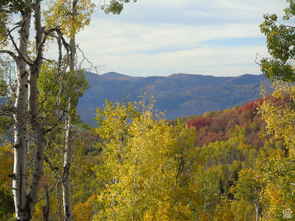 10452 N BASIN CANYON RD Park City, UT 84098