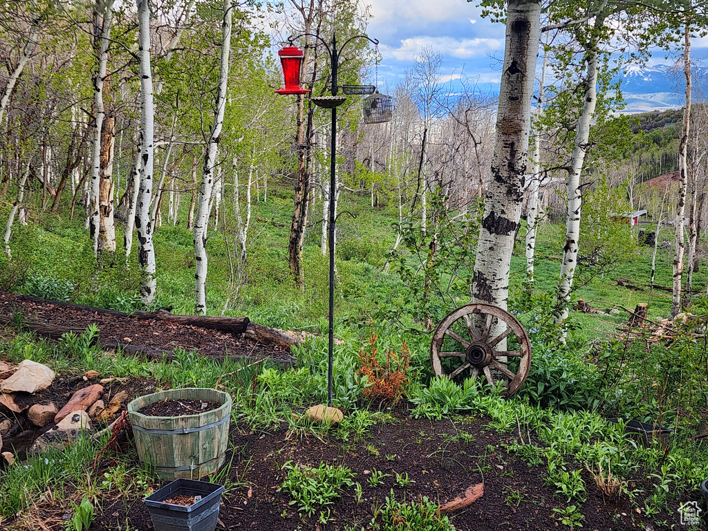 10452 N BASIN CANYON RD Park City, UT 84098