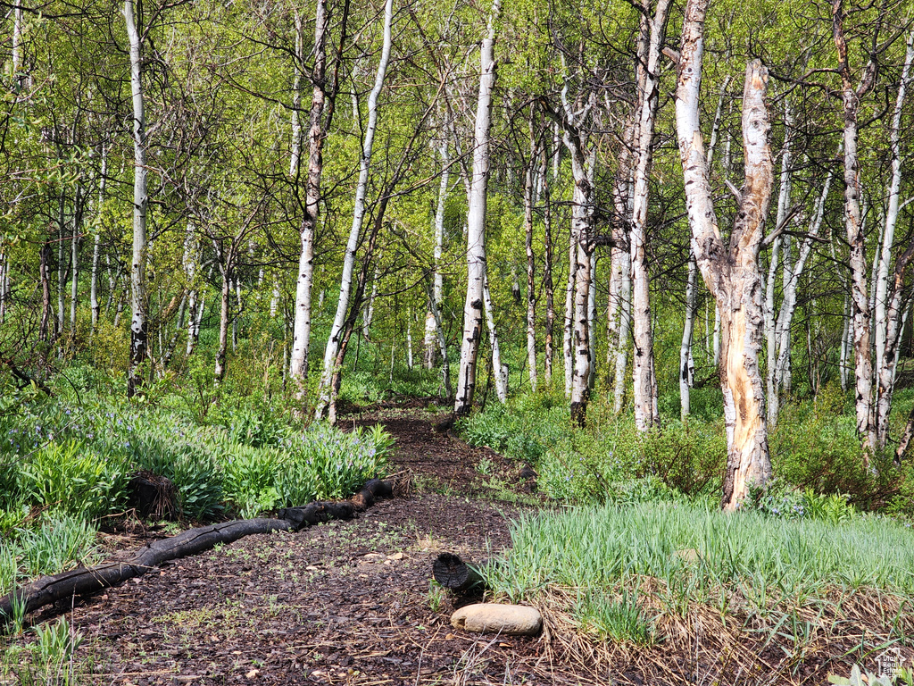 10452 N BASIN CANYON RD Park City, UT 84098