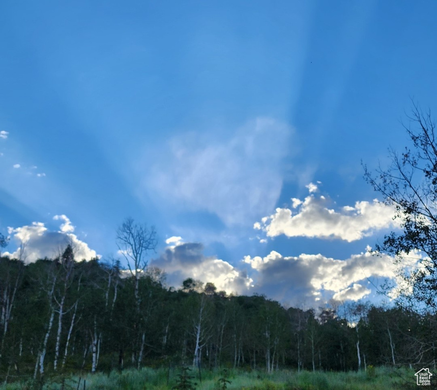 10452 N BASIN CANYON RD Park City, UT 84098