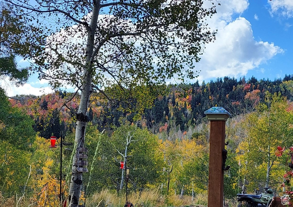 10452 N BASIN CANYON RD Park City, UT 84098