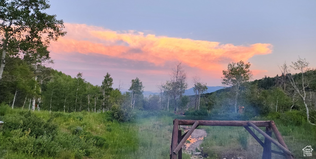 10452 N BASIN CANYON RD Park City, UT 84098
