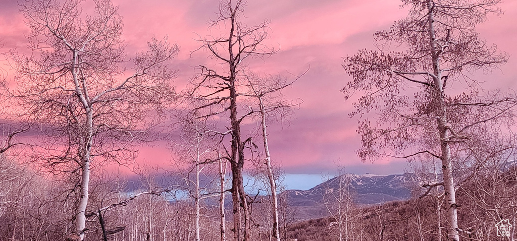 10452 N BASIN CANYON RD Park City, UT 84098