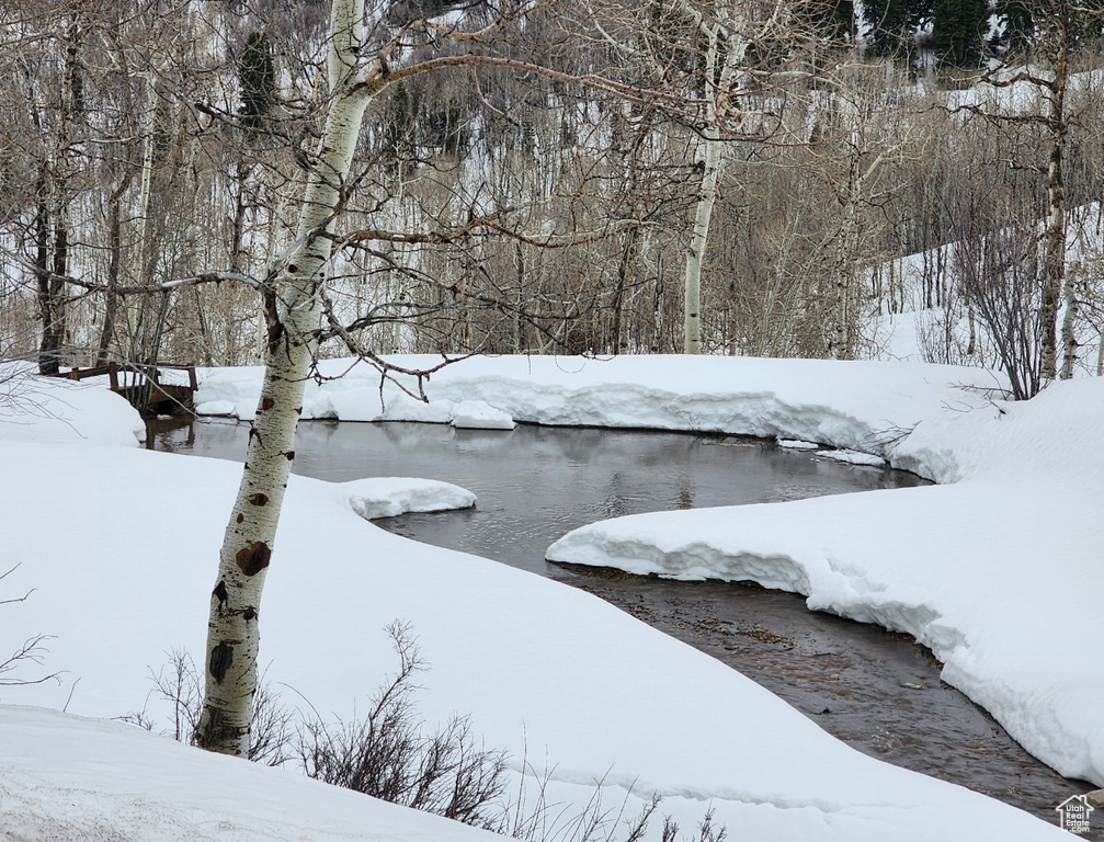 10452 N BASIN CANYON RD Park City, UT 84098