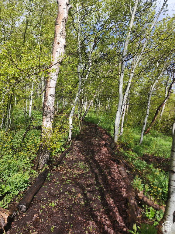 10452 N BASIN CANYON RD Park City, UT 84098