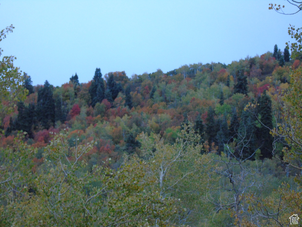 10452 N BASIN CANYON RD Park City, UT 84098