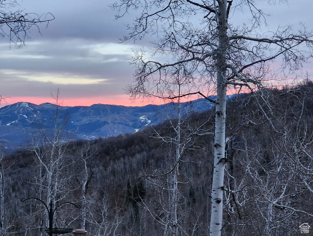 10452 N BASIN CANYON RD Park City, UT 84098