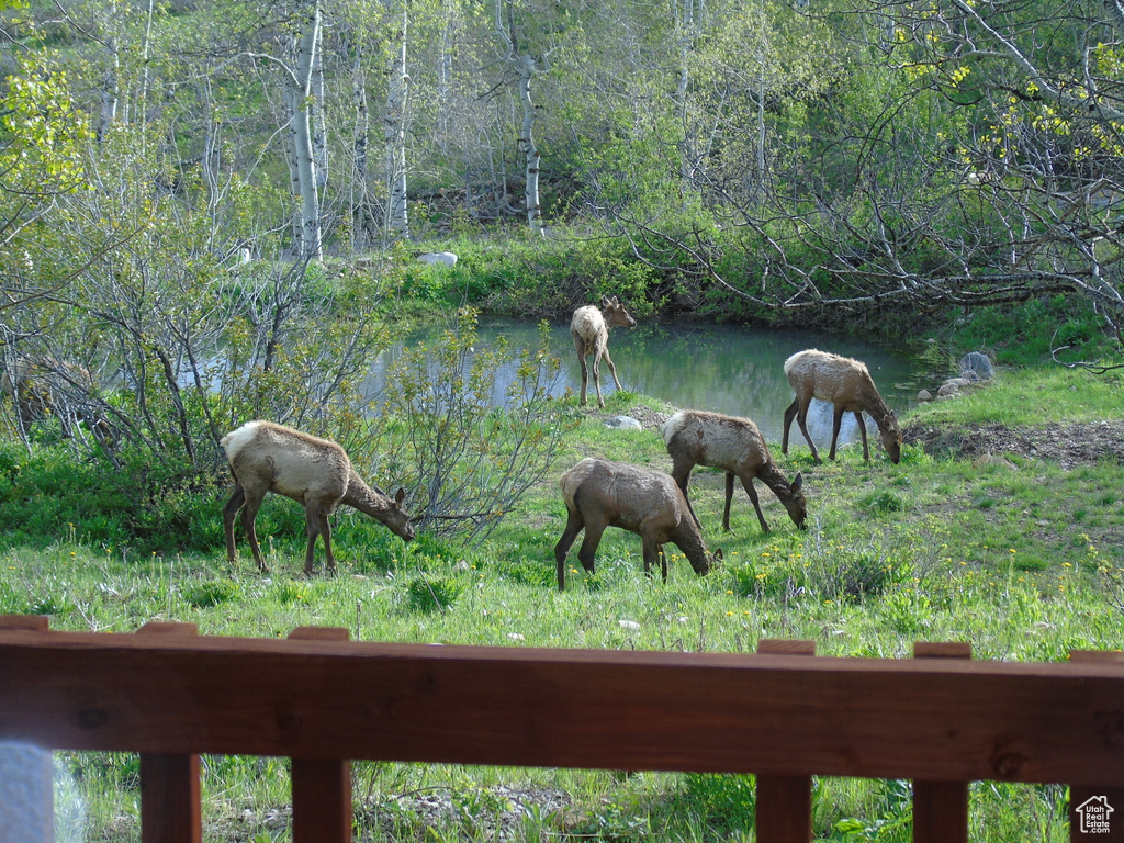 10452 N BASIN CANYON RD Park City, UT 84098