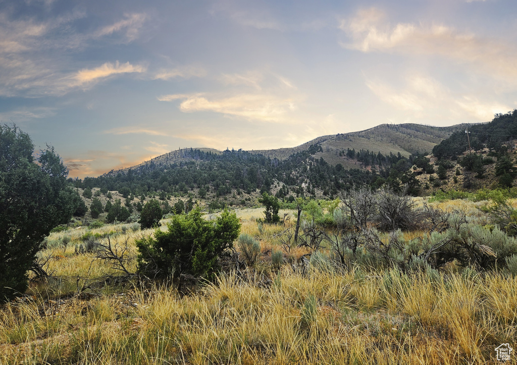 10286 S 40750 W Fruitland, UT 84027