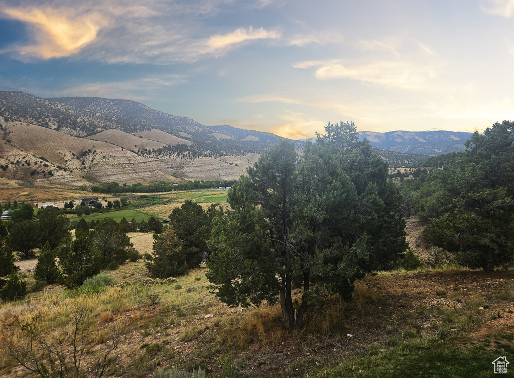 10286 S 40750 W Fruitland, UT 84027