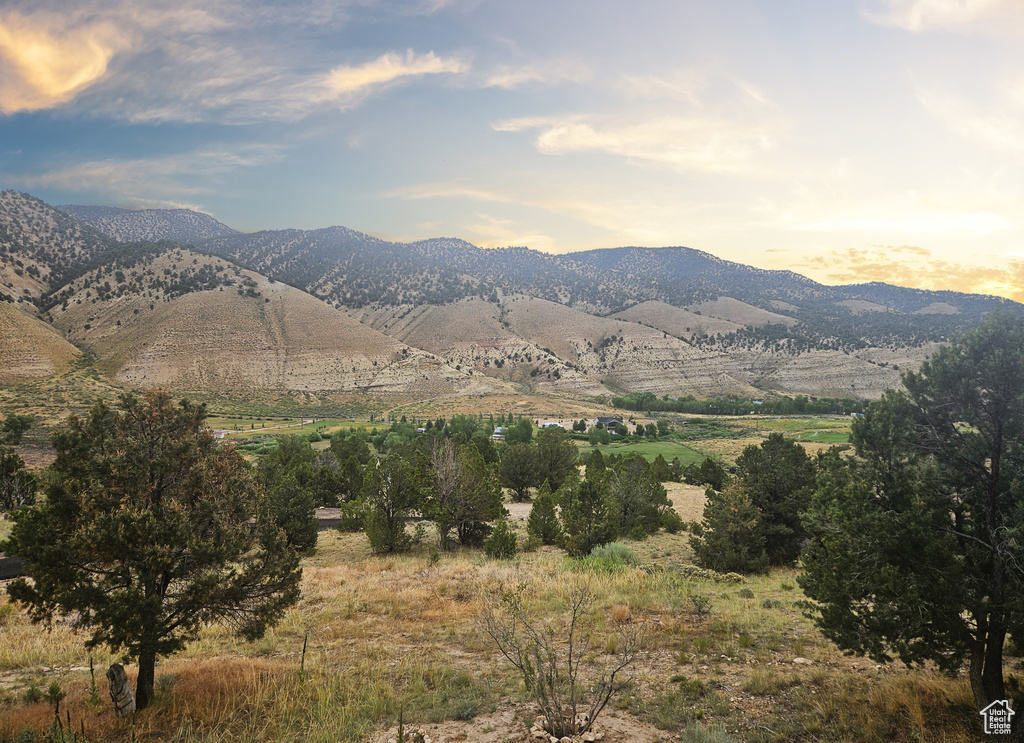 10286 S 40750 W Fruitland, UT 84027