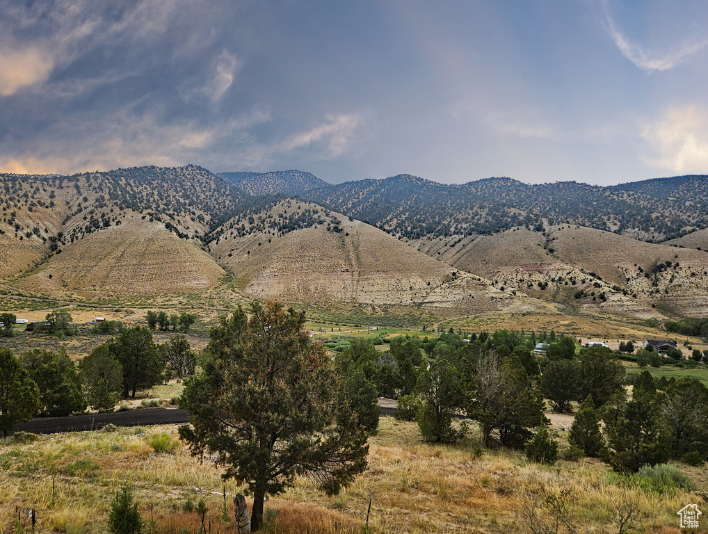 10286 S 40750 W Fruitland, UT 84027