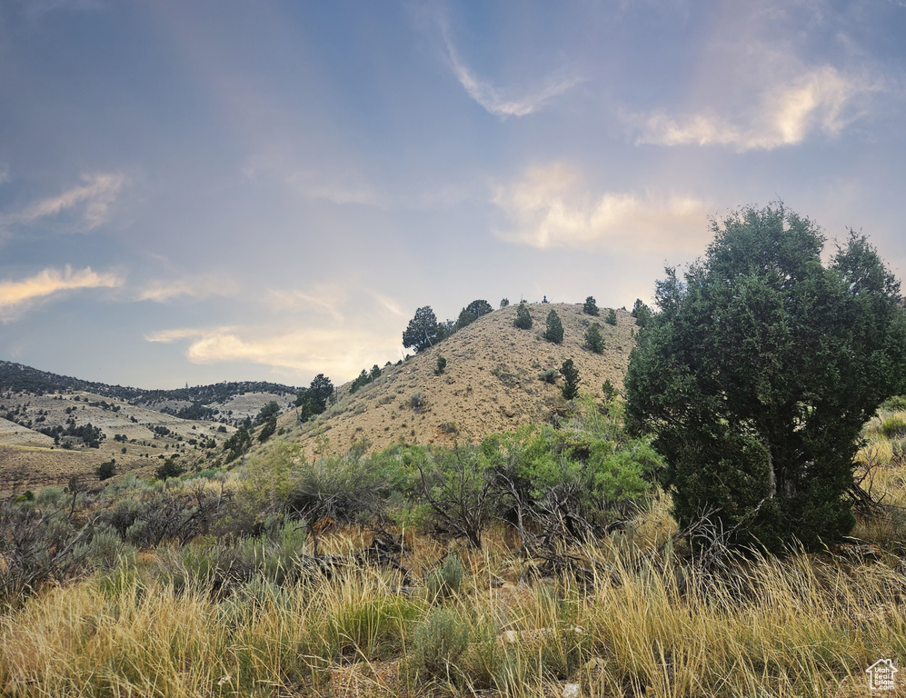 10286 S 40750 W Fruitland, UT 84027