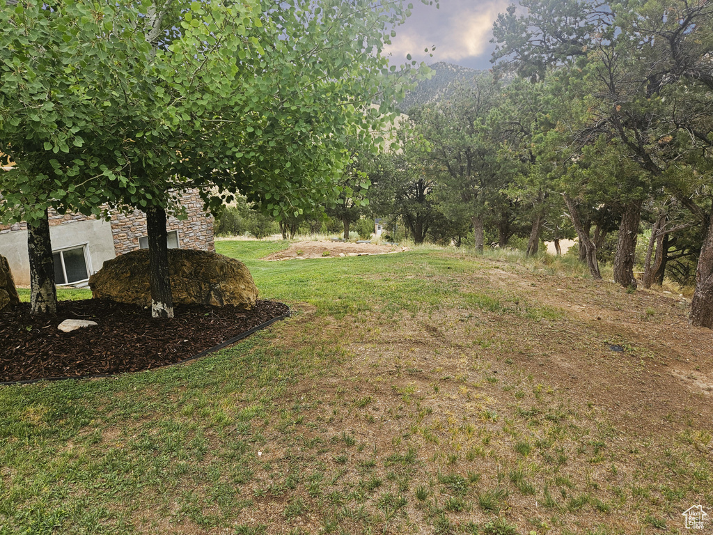 10286 S 40750 W Fruitland, UT 84027
