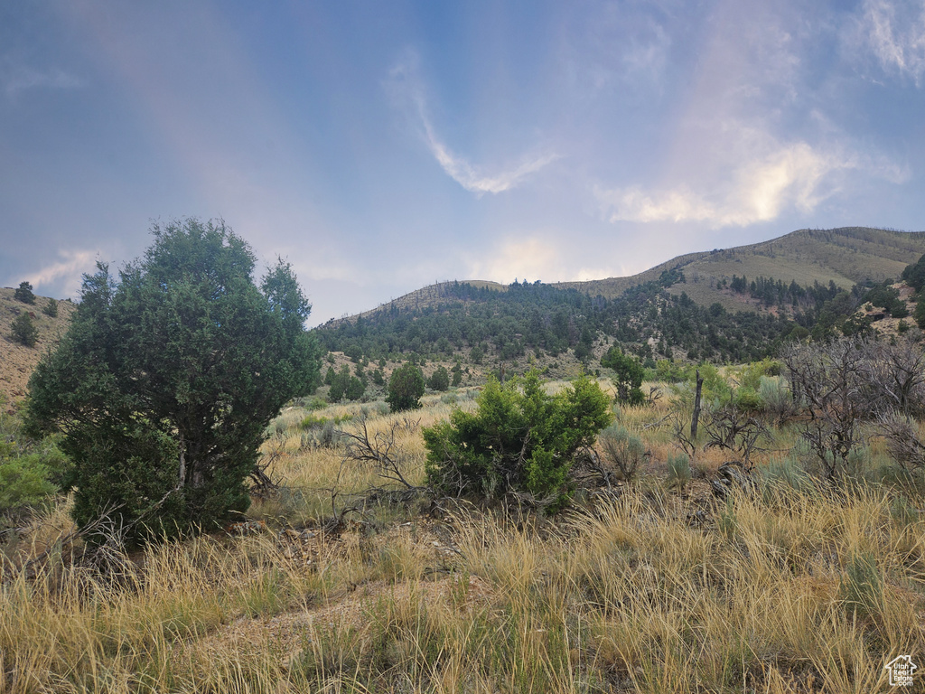10286 S 40750 W Fruitland, UT 84027