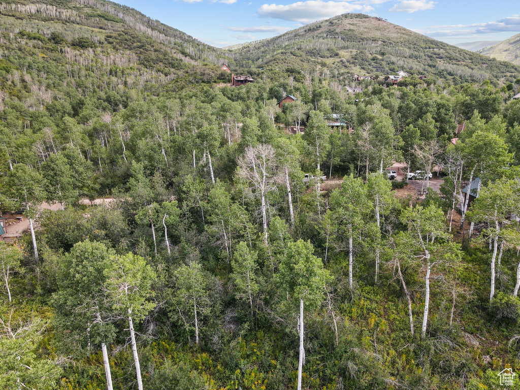 126  COMANCHE Oakley, UT 84055