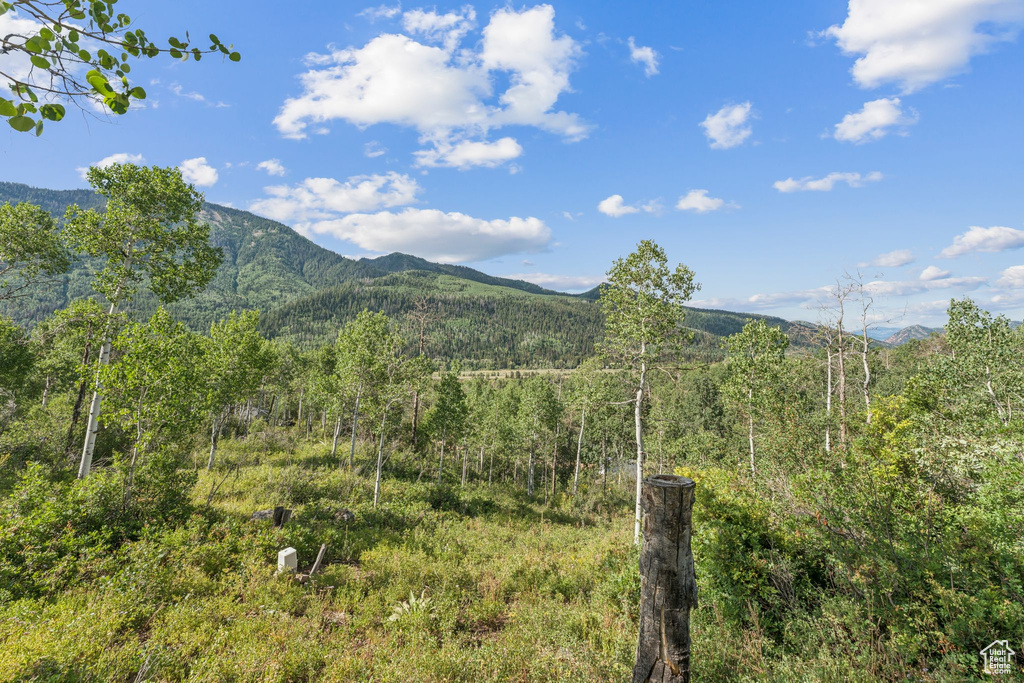 127 COMANCHE PASS #127 Oakley, UT 84055