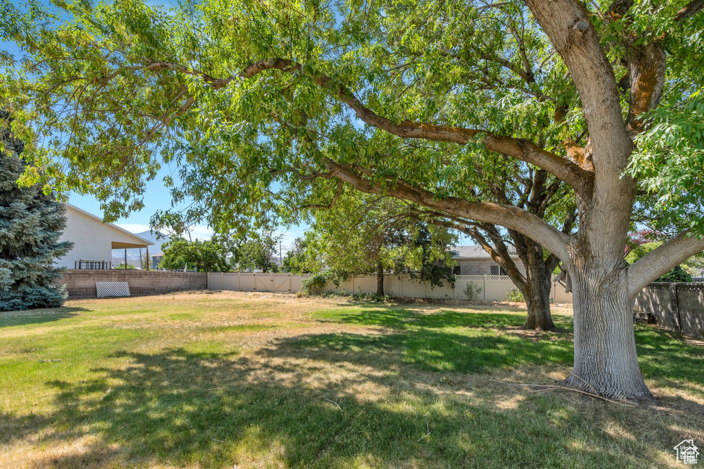 1151 S 300 W Orem, UT 84058