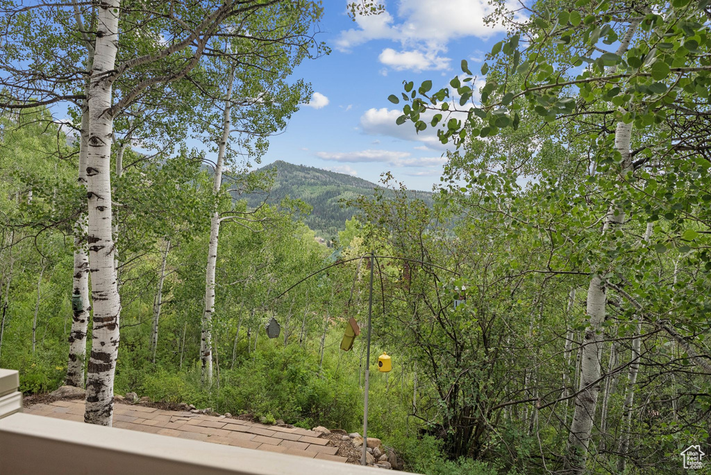 10222 MACKENZIE WAY Oakley, UT 84055