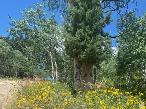 1968  ELK Coalville, UT 84017