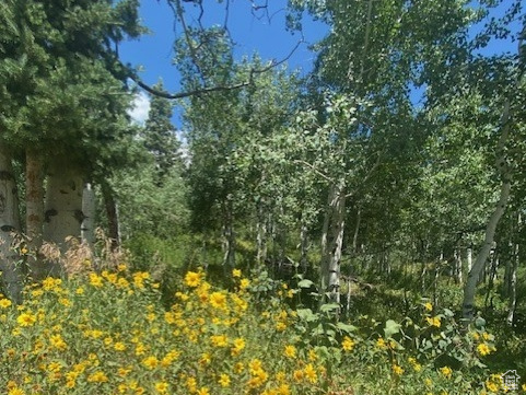 1968  ELK Coalville, UT 84017