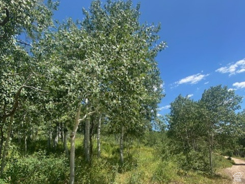 1968  ELK Coalville, UT 84017