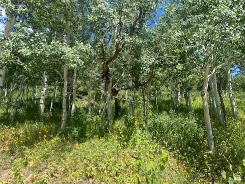 1968  ELK Coalville, UT 84017