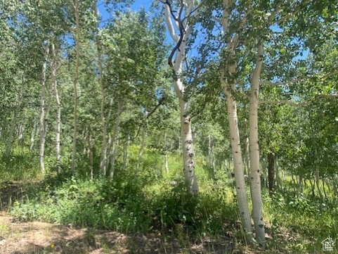 1968  ELK Coalville, UT 84017