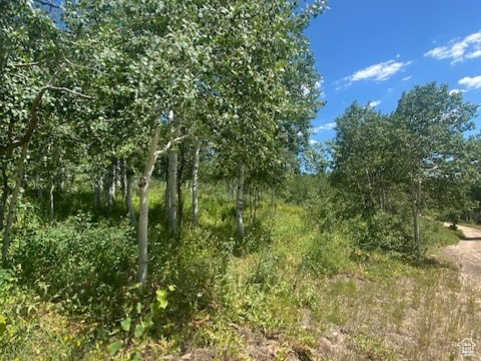 1968  ELK Coalville, UT 84017