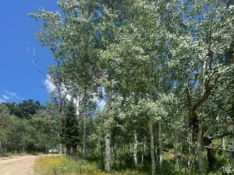 1968  ELK Coalville, UT 84017