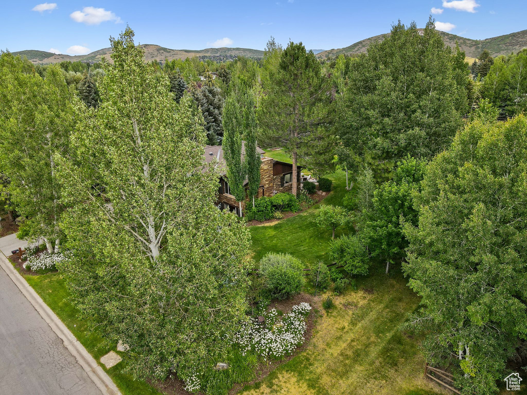 Photo 16 for MLS #2100620 at 2350 Lucky John Dr