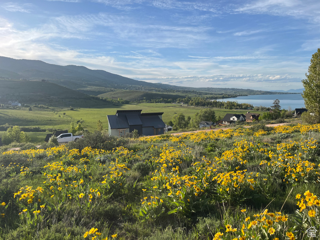 564  CISCO RUN Garden City, UT 84028