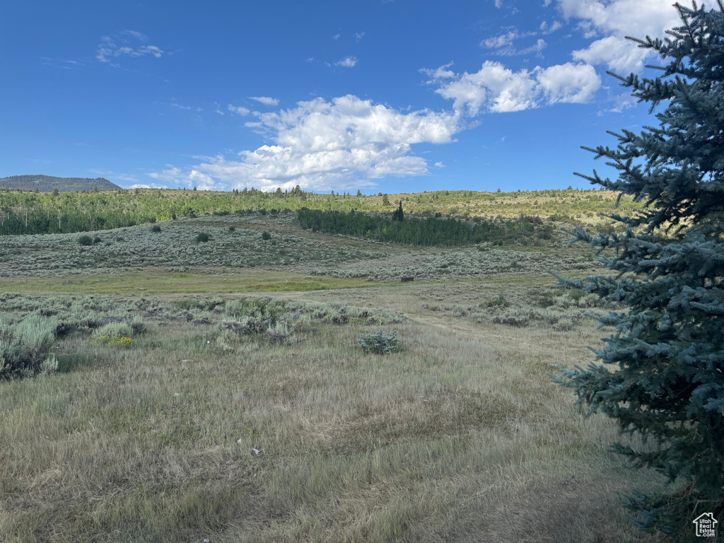 2825 JACOBS RD Saint Charles, ID 83272