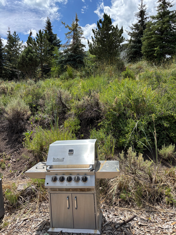 10088 E RIDGE PINE DR #1199-C Heber City, UT 84032