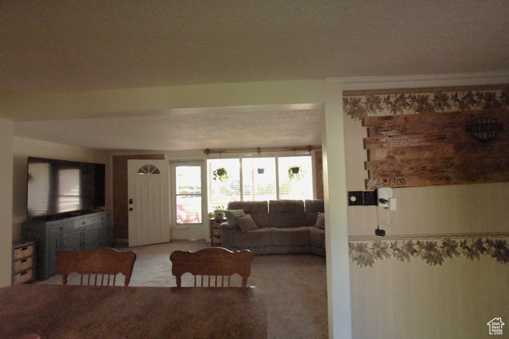Photo 10 for MLS #2100697 at 806 Valeria Dr