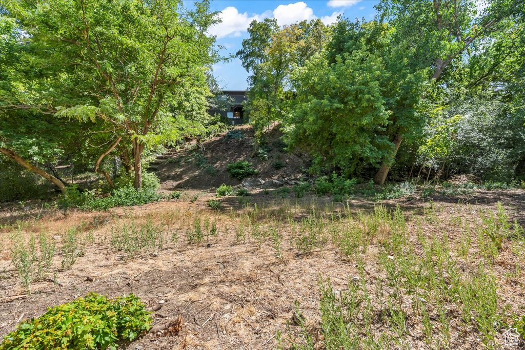 1351 E 400 S Fruit Heights, UT 84037