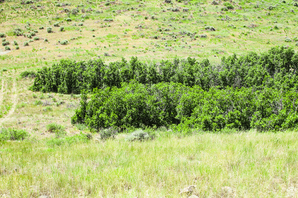 1255 S WEST HOYTSVILLE RD Hoytsville, UT 84017