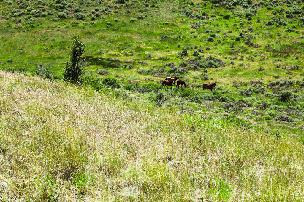 1255 S WEST HOYTSVILLE RD Hoytsville, UT 84017