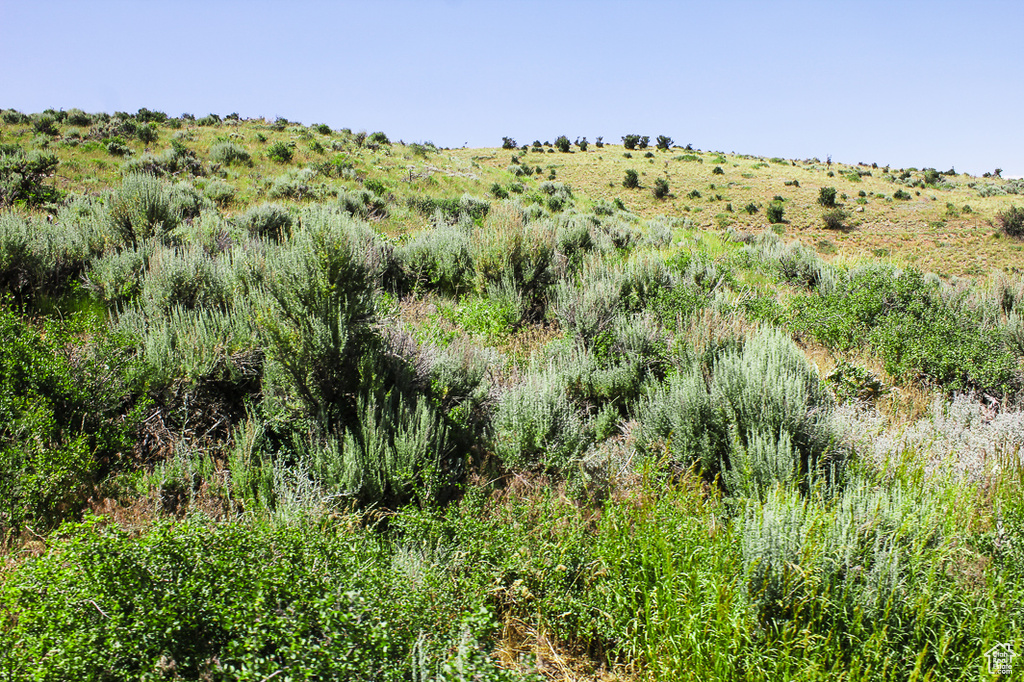 1255 S WEST HOYTSVILLE RD Hoytsville, UT 84017