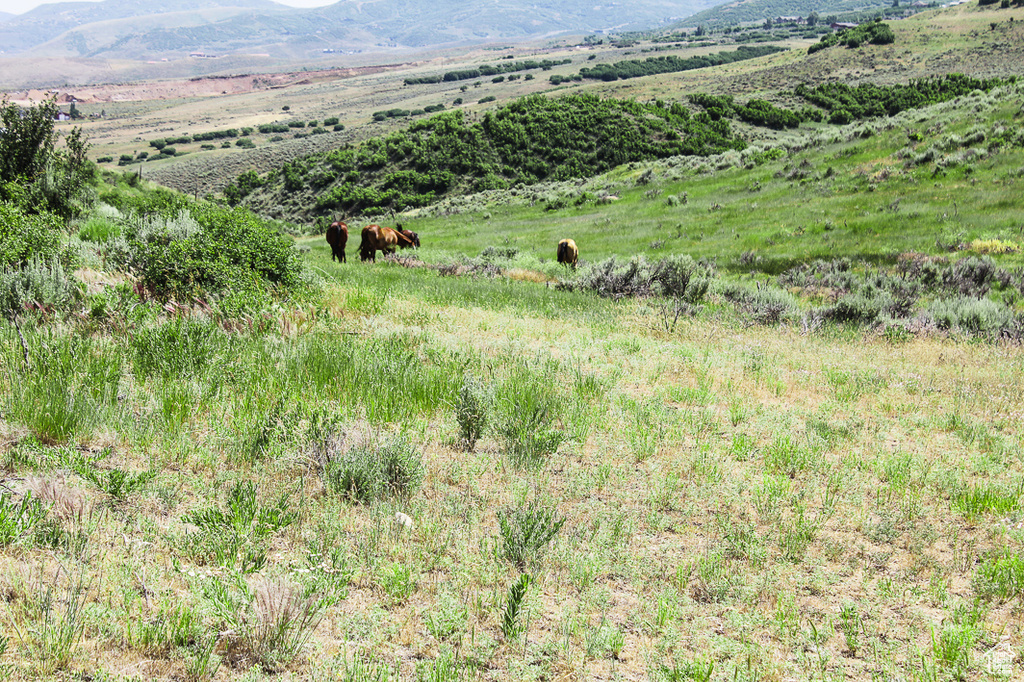 1255 S WEST HOYTSVILLE RD Hoytsville, UT 84017