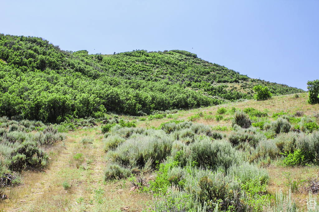 1255 S WEST HOYTSVILLE RD Hoytsville, UT 84017