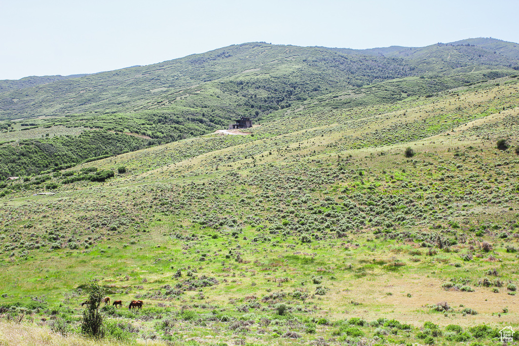 1255 S WEST HOYTSVILLE RD Hoytsville, UT 84017