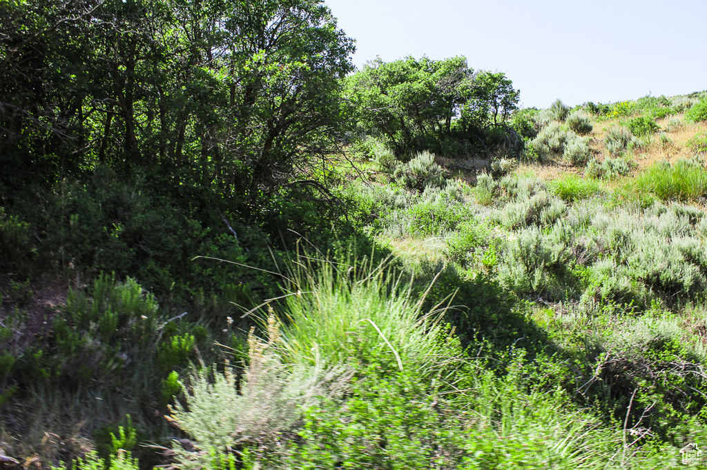 1255 S WEST HOYTSVILLE RD Hoytsville, UT 84017